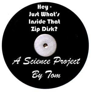 Hey, Just What's Inside That Zip Disk?